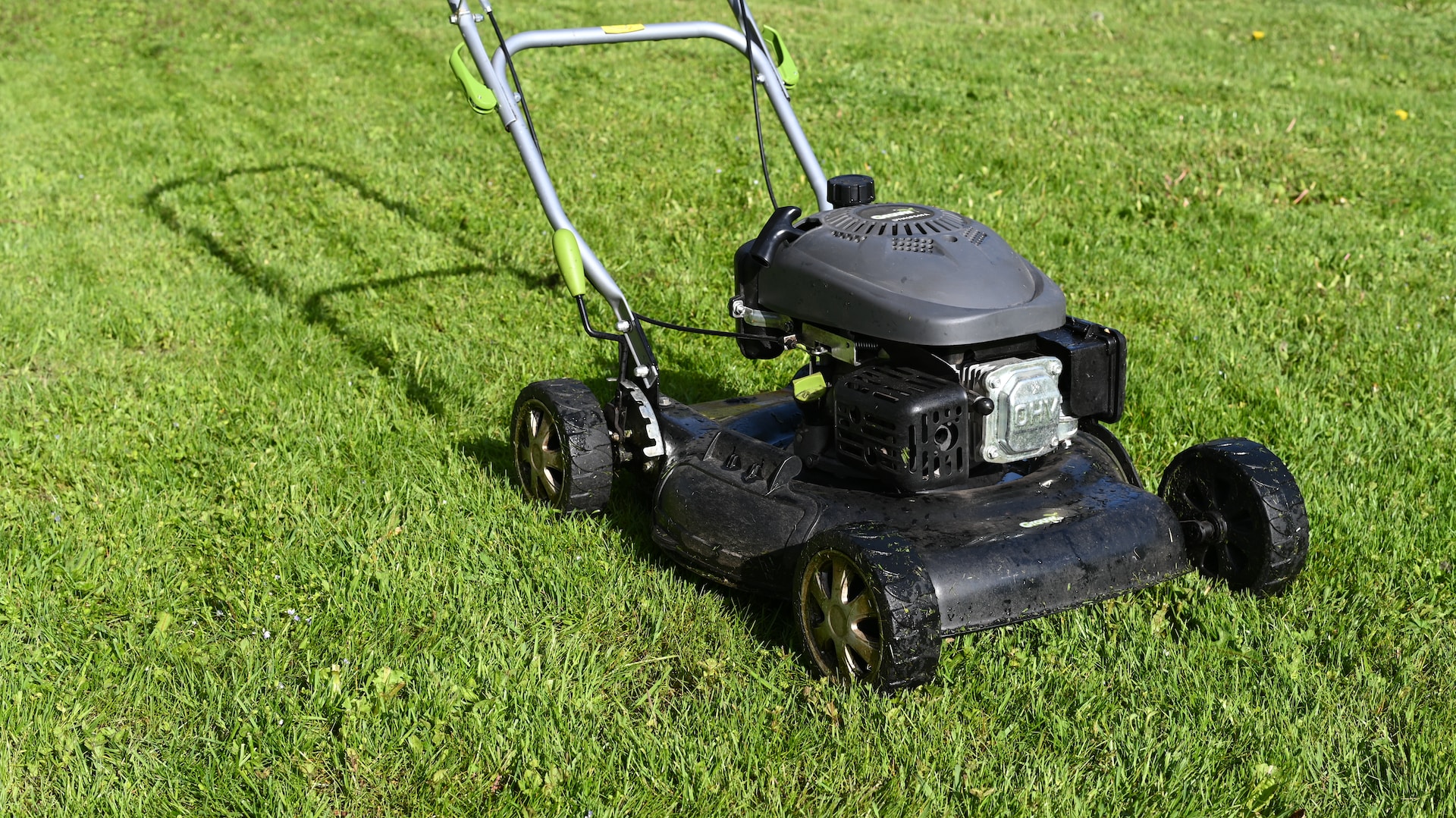 The 5 Best Lawn Mowers You Can Buy Backyard Pursuits