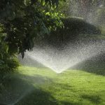 5 Sprinkler Systems to Keep Your Lawn Hydrated