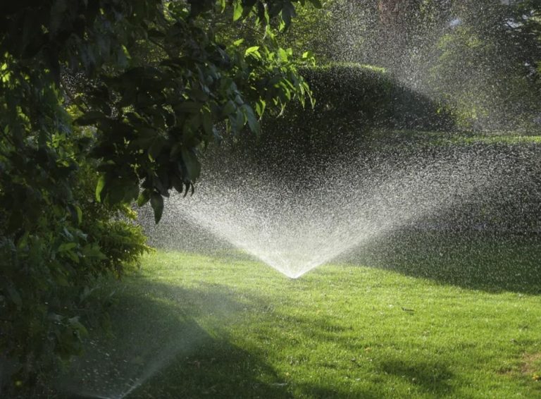 5 Sprinkler Systems to Keep Your Lawn Hydrated