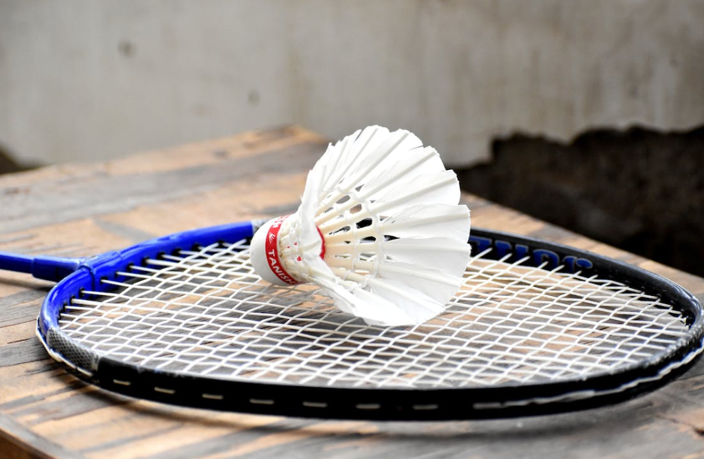 Badminton Game