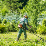 Battery Powered Weed Eaters