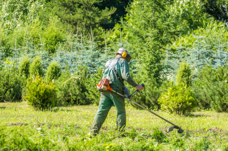 Battery Powered Weed Eaters
