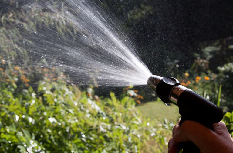 5 Best Garden Hoses for Efficient Watering