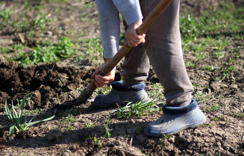 Best Garden Spades