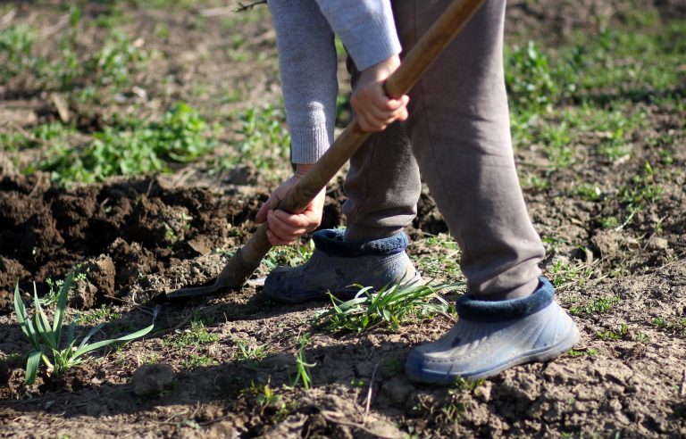 Best Garden Spades