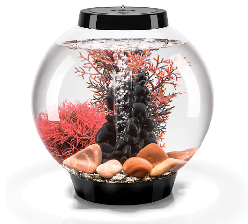 BioSphere Habitats Kit 2023