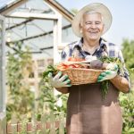 Your Backyard, Your Sanctuary: Building a Greenhouse for Your Horticultural Haven