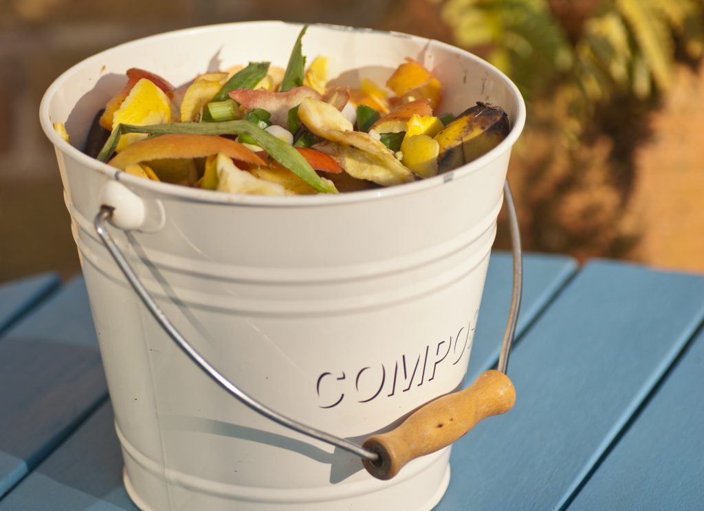 Compost Bin