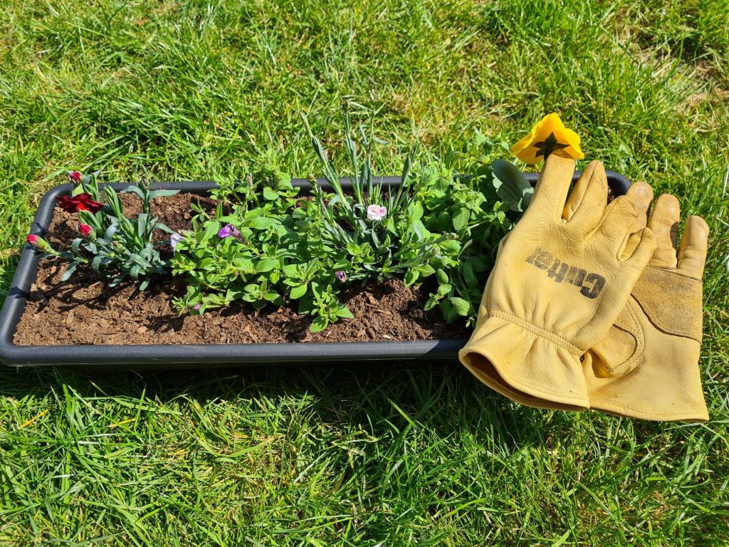 Gardening gloves