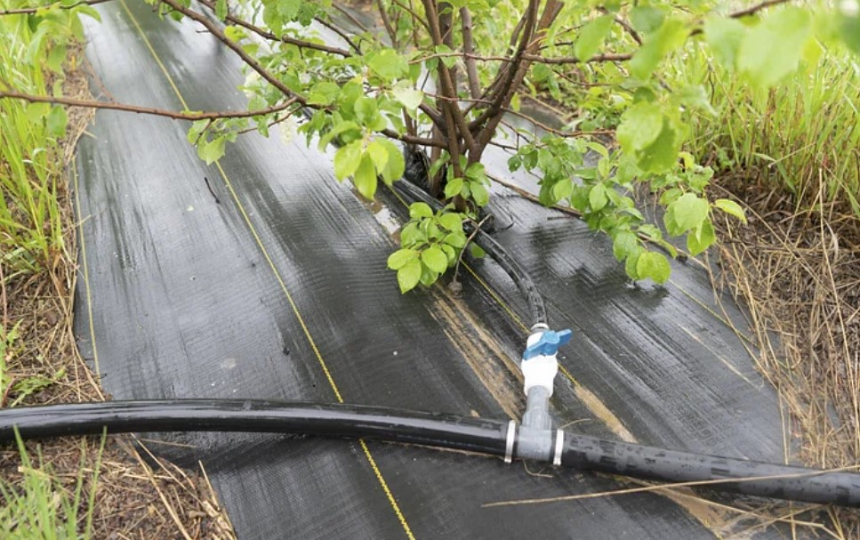 Drip Irrigation System