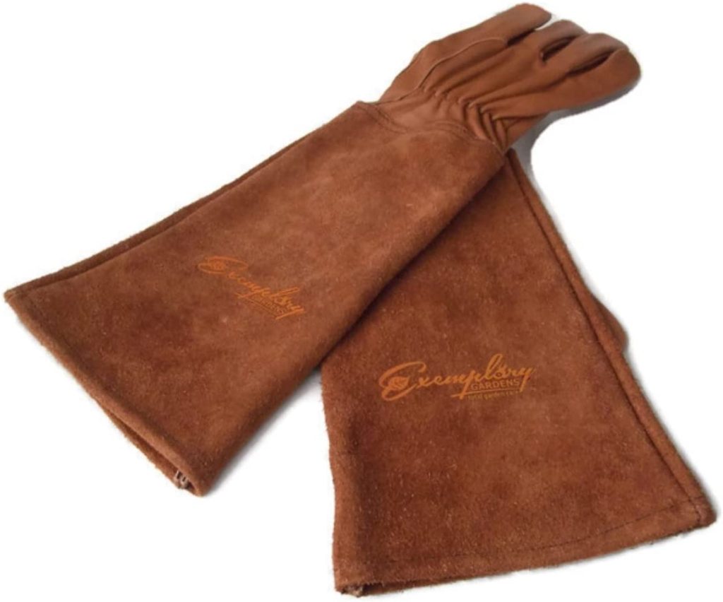 Exemplary Gardens Rose Pruning Gloves
