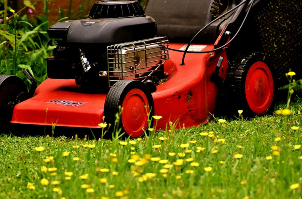 Gas-Powered Lawn Mowers