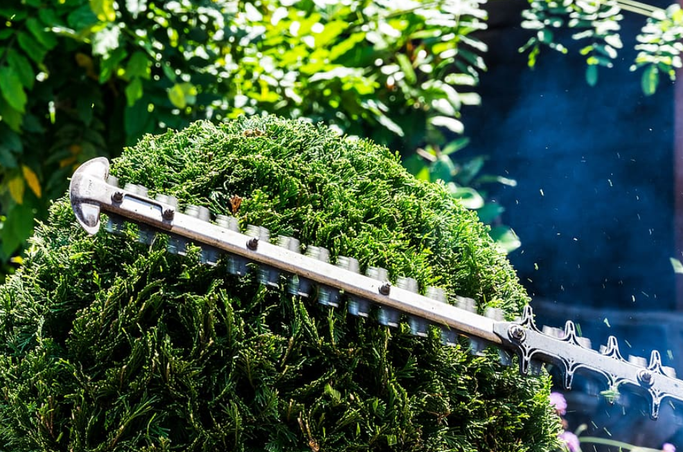Hedge Trimmer