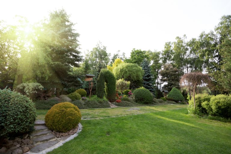 Create Your Dream Oasis: How Landscape Design Software Transforms Your Outdoor Space