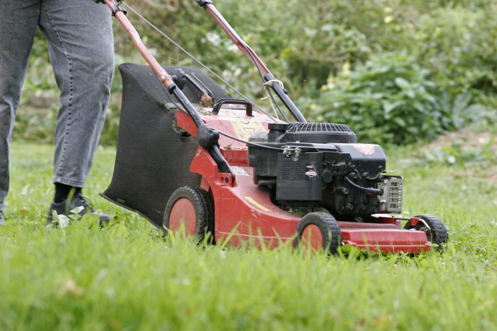 Lawn Sweeper