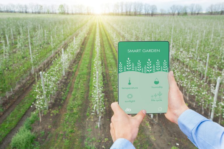Smart Gardening: Uncover the Most Innovative Garden Tech Gadgets for the Tech-Savvy Grower