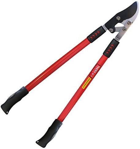 Tabor Tools GG11A Anvil Lopper