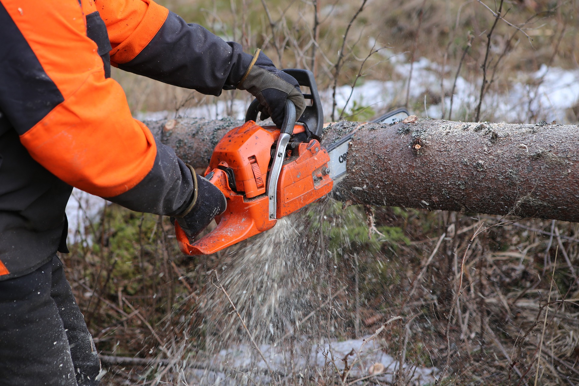 The 5 Best Electric Chainsaws