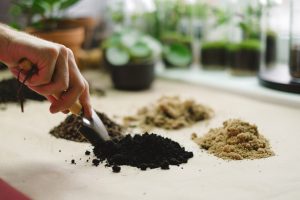 The 6 Best Soil Test Kits