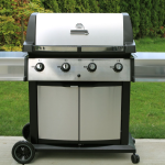 The 7 Best Propane Grills