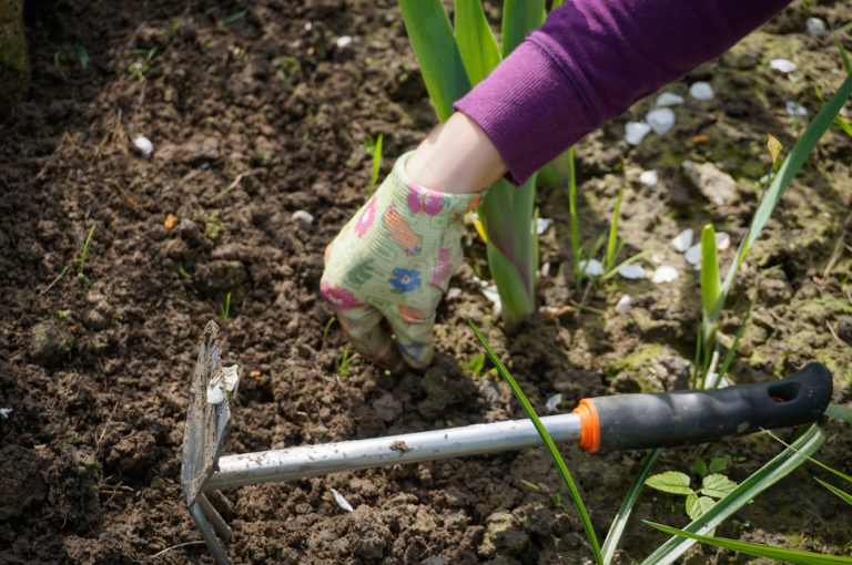 The Best Weeding Tools
