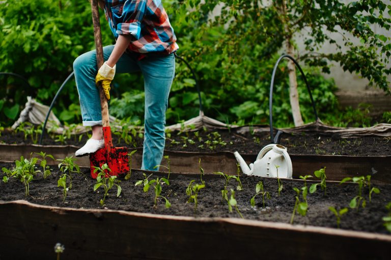 The 8 Best Garden Shovels