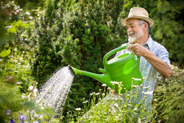 The 8 Best Watering Cans For Indoor and Outdoor Use
