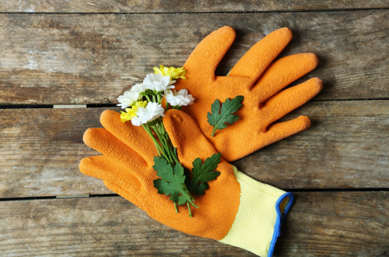 The Best Gardening Gloves