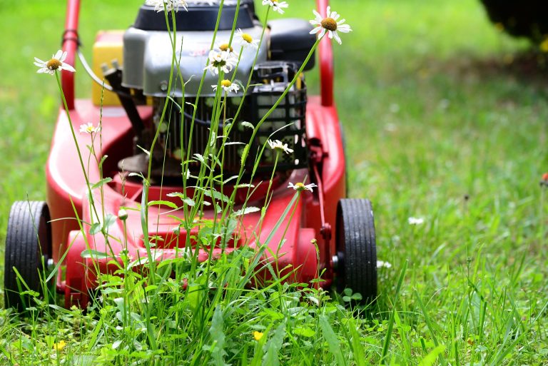 The Best Walk-Behind String Trimmer: A Comprehensive Guide