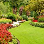 The Secret to Lush Gardens with Premium Plant Care Products