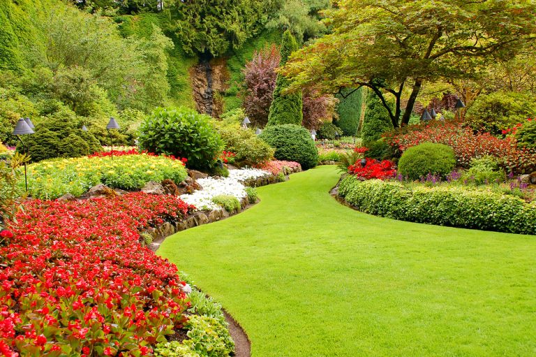 Grow Like a Pro: The Secret to Lush Gardens with Premium Plant Care Products