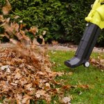 The Top 5 Leaf Blowers for Easy Lawn Cleanup