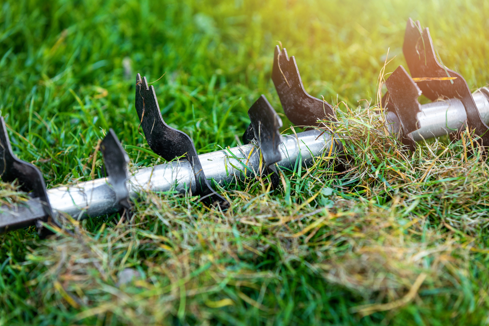 Top Lawn Aeration Products to Help Your Grass Breathe