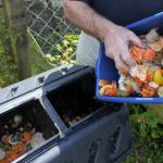 7 Best Compost Tumblers
