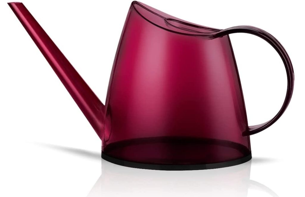 WhaleLife 1.3-Gallon Indoor Watering Can
