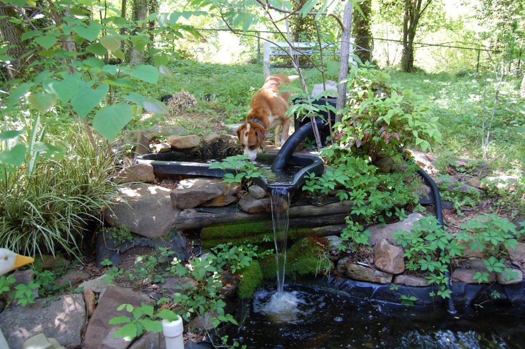 Implementing Your Biosphere