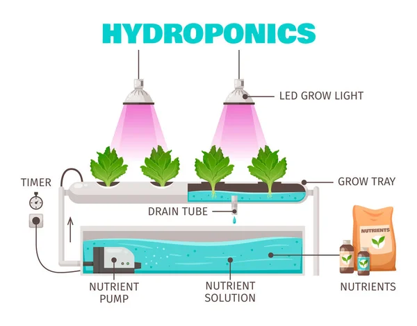 hydroponics