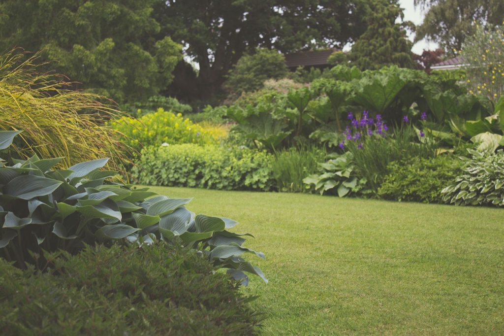 upkeep of my garden.