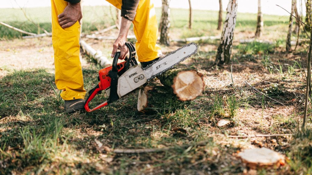 friendly Electric Chainsaws